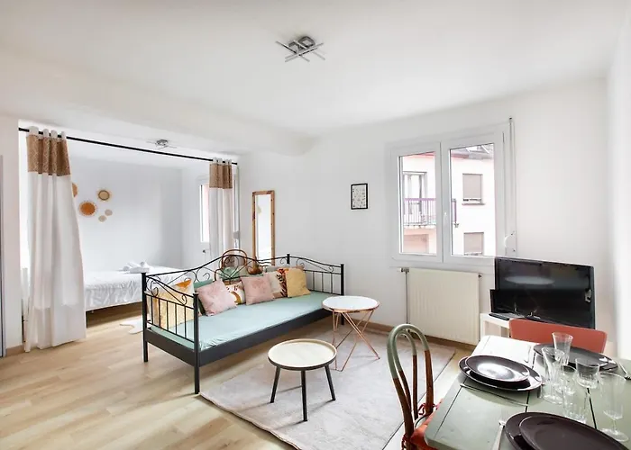 Le Cigogneau Colmar center Modern&Elevator Appartamento