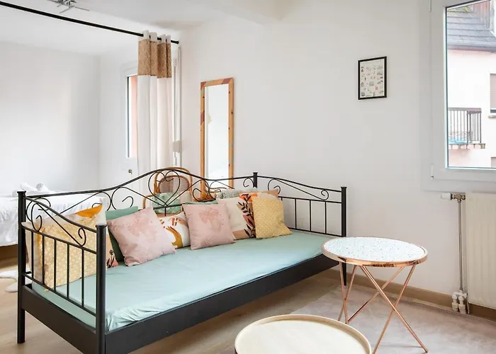 Le Cigogneau Colmar center Modern&Elevator Appartamento