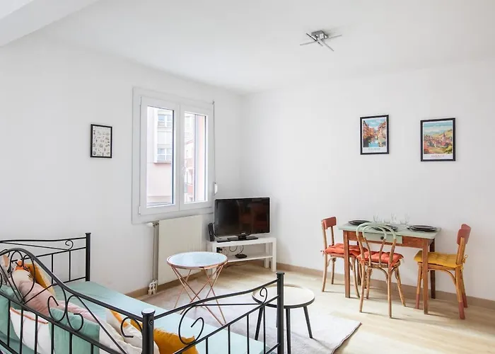 Le Cigogneau Colmar center Modern&Elevator Appartamento Colmar