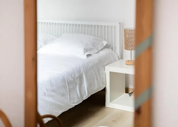 Le Cigogneau Colmar center Modern&Elevator Appartamento Colmar